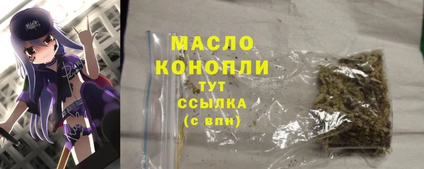 гидра Медногорск