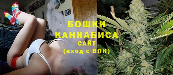 гидра Медногорск