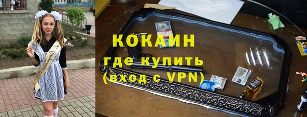 дживик Майский