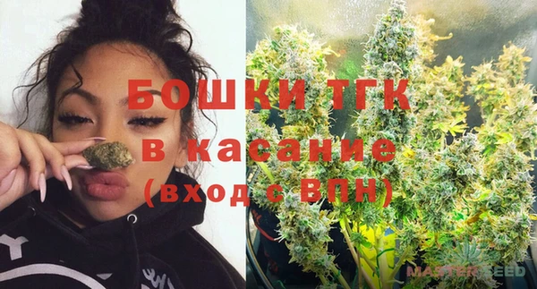 хмурый Мегион