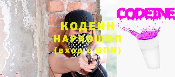 хмурый Мегион