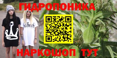 гидропоника Гагарин