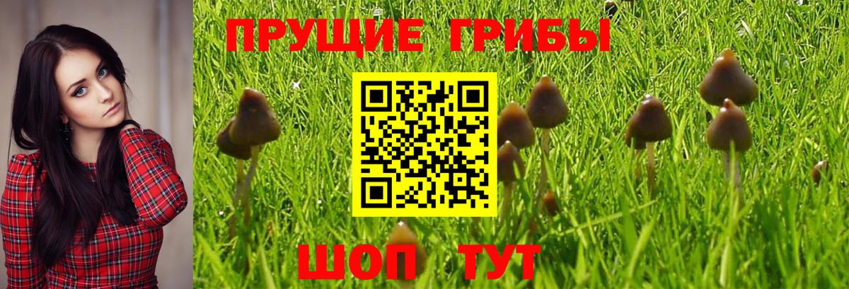 Псилоцибиновые грибы мухоморы  Галлюциногенные грибы мухоморы  Ростов-на-Дону 