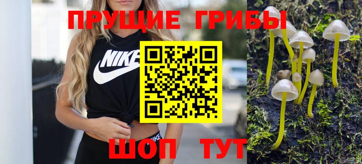 Ростов-на-Дону  Псилоцибиновые грибы MAGIC MUSHROOMS  Вход с VPN 