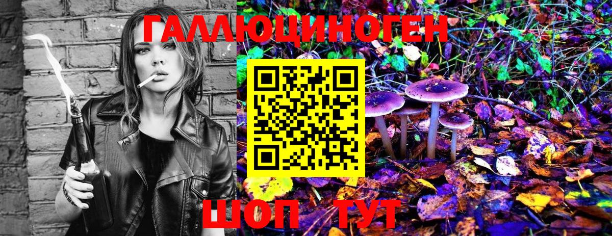 Галлюциногенные грибы мицелий Ростов-на-Дону