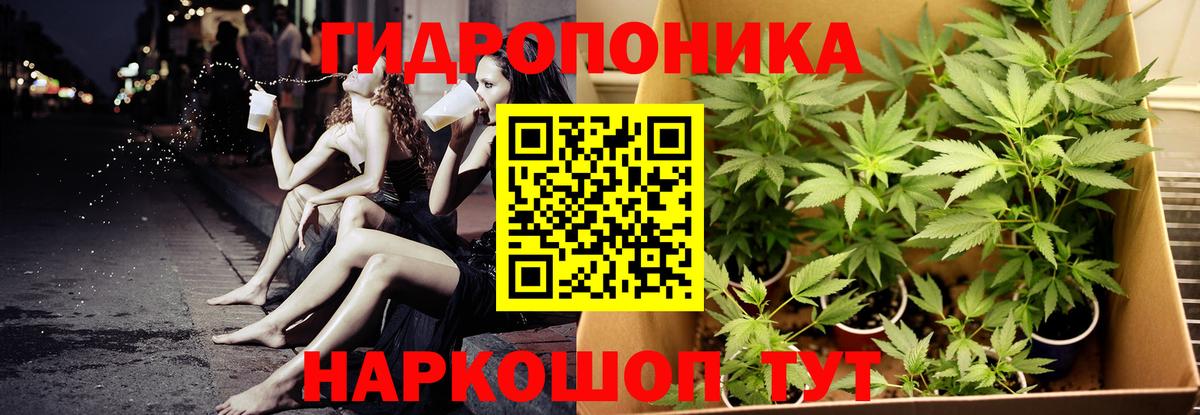Шишки марихуана планчик Ростов-на-Дону